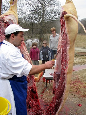 09_04_10_toros1.jpg, 65kB